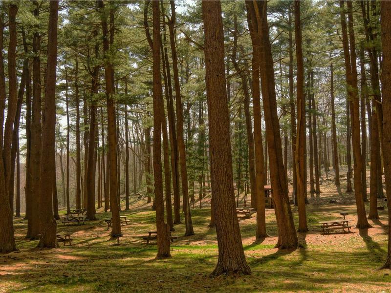 sudoku competition rules screenshot 2