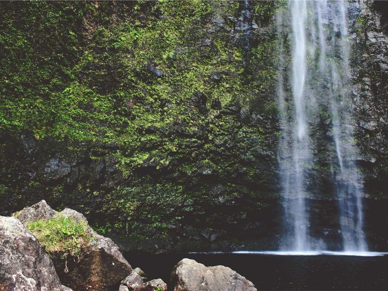 sudoku social features screenshot 1